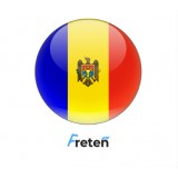 Переводчик молдавского языка