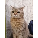 Полина Дорохина