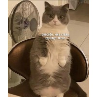 Радима Селимова