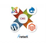 Разработка CMS