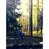 Роман Баган