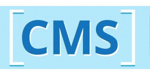 Самописная или готовая CMS?