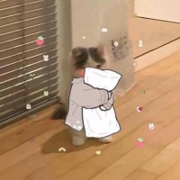 Саша Матюшина