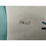 Снежана Тургенева