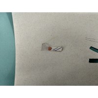 Снежана Тургенева