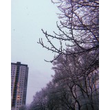 Виктория Захаркина