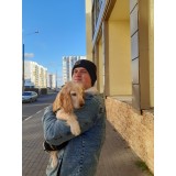 Владислав Шевцов